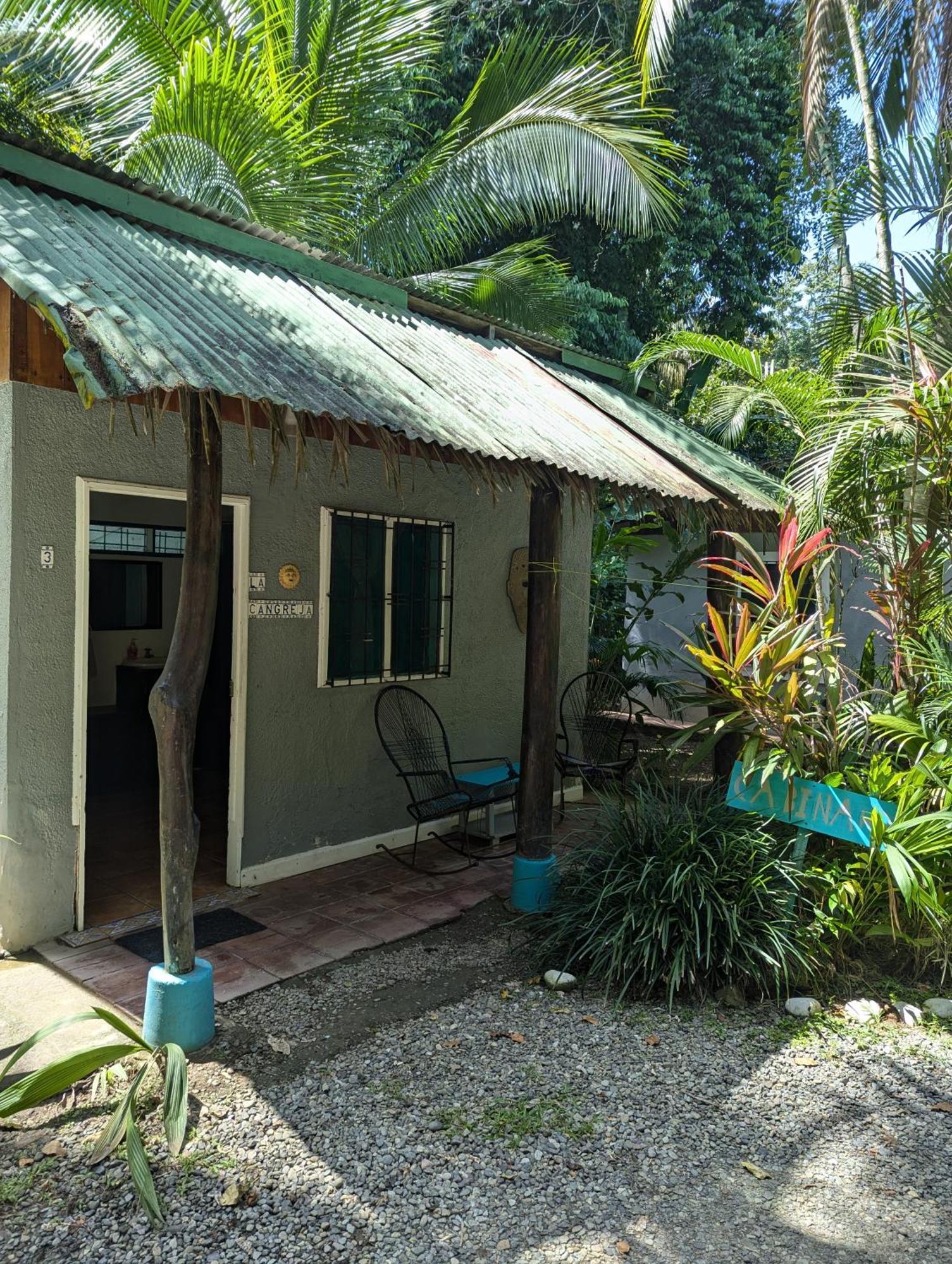 Tasty Dayz Hostel Puerto Viejo de Talamanca Exterior foto