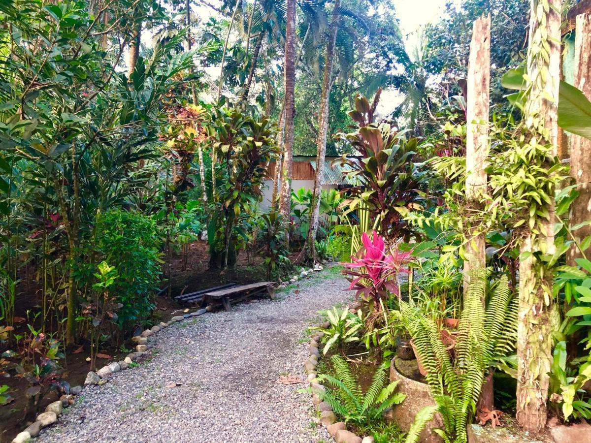 Tasty Dayz Hostel Puerto Viejo de Talamanca Exterior foto